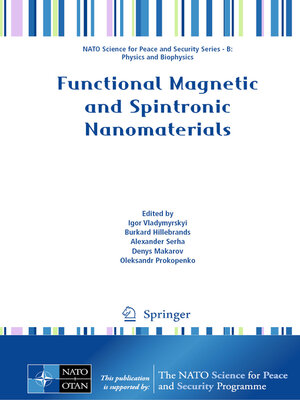 cover image of Functional Magnetic and Spintronic Nanomaterials